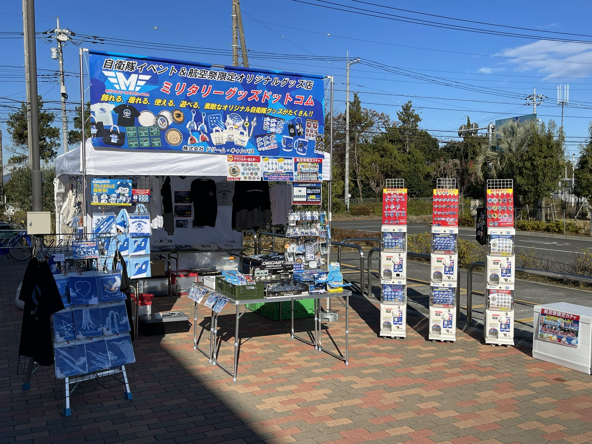 ブルーインパルス記念飛行